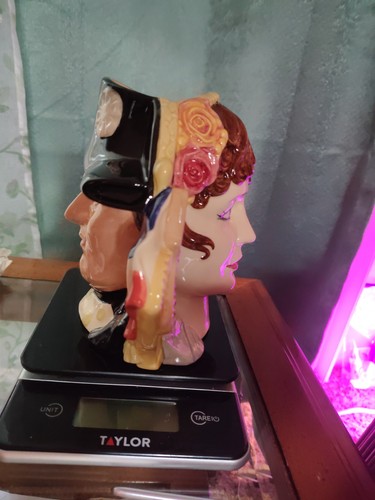 Royal daulton character jug - royal,