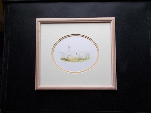 Original watercolour signed - watercolour,