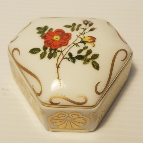 Empress josephine rose - empress,