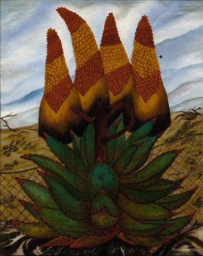 Josephine joy aloes 1935 1938 - josephine,