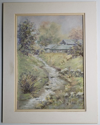 Esthwaite coniston lake - w.,